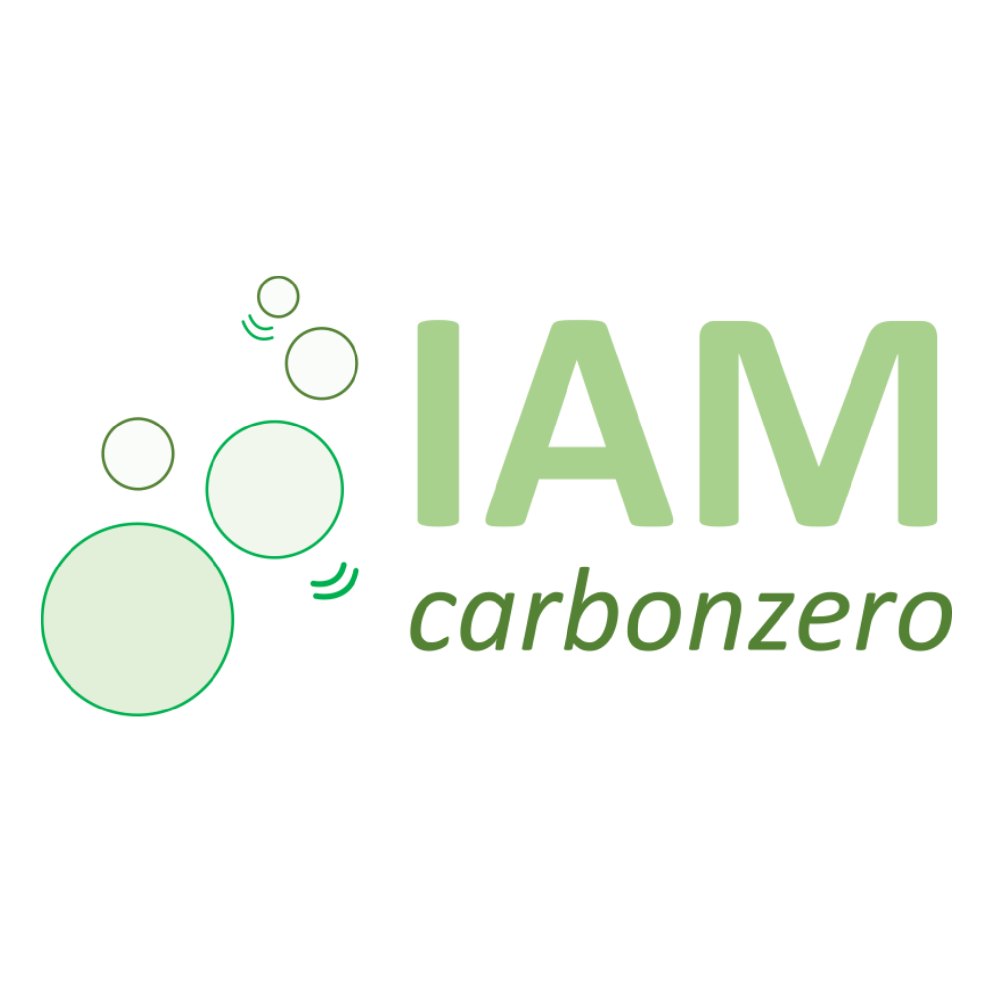 IAM carbonzero